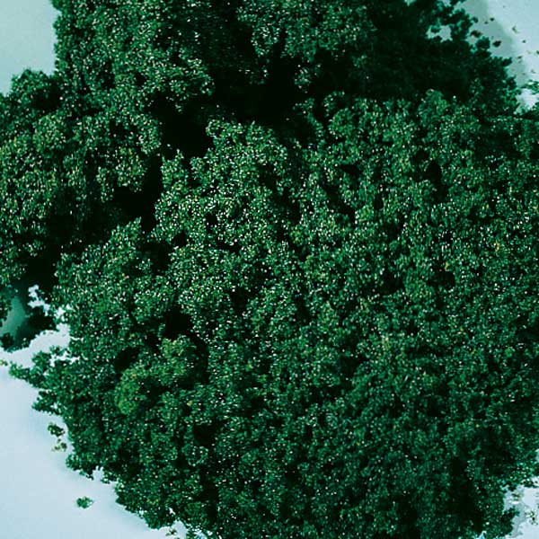 Moss foam dark green fine <br><br /><a href='images/pictures/Auhagen/76982.jpg' target='_blank'>Full size image</a>